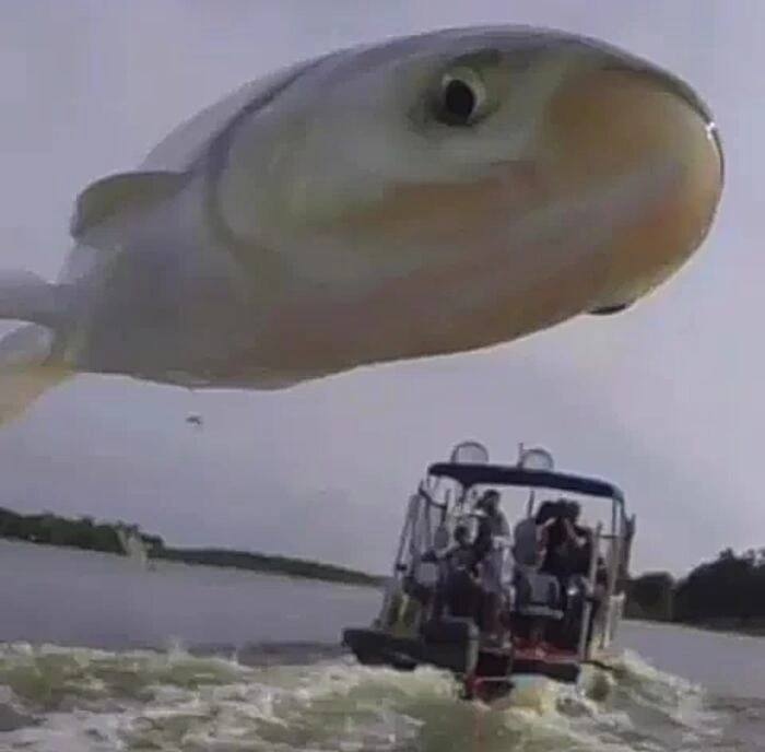23 Unbelievable Photos of Rare Coincidences Caught on Camera