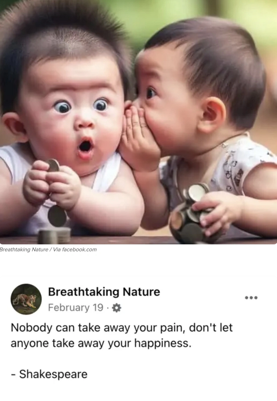 45 Boomer Musings from the A.I. Slop Shop