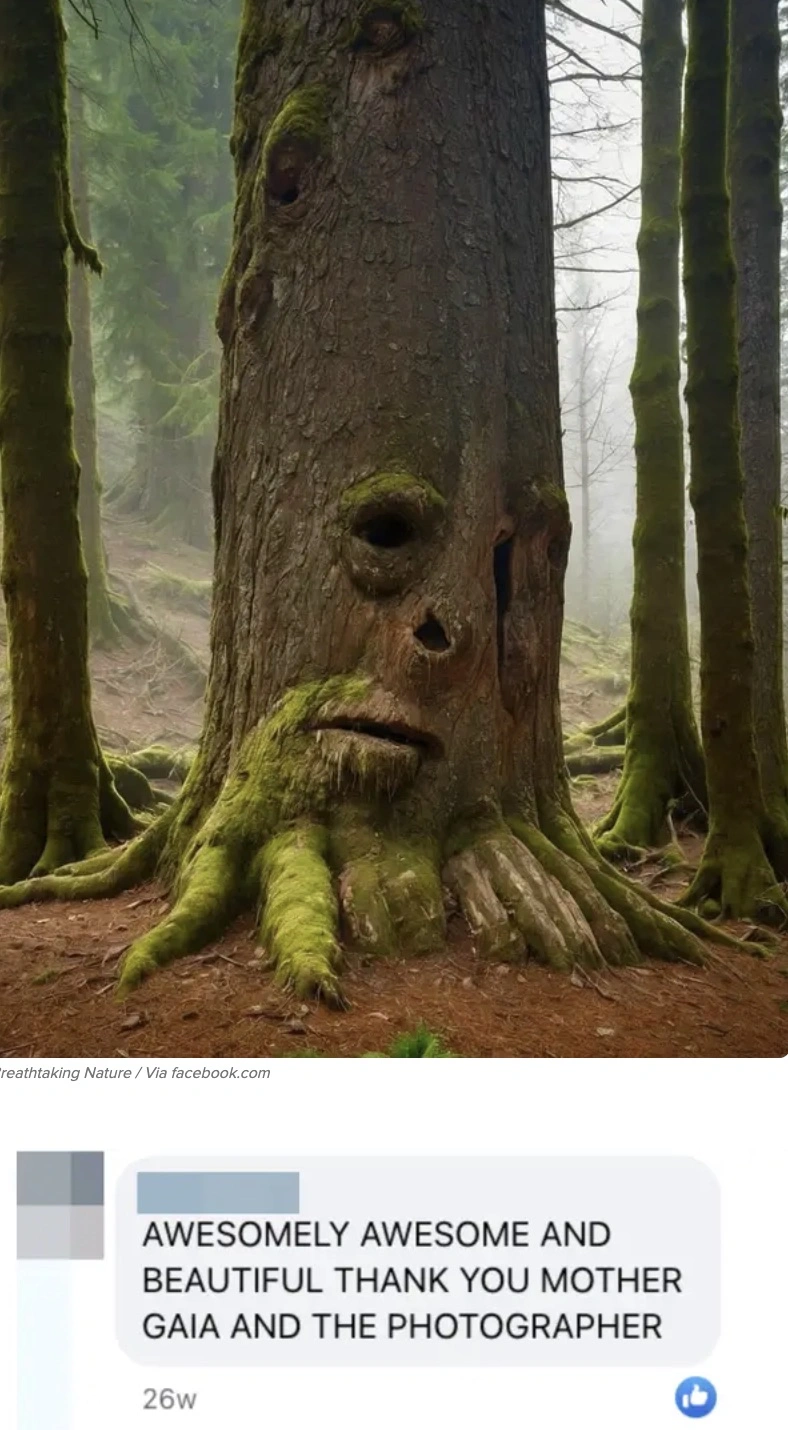 45 Boomer Musings from the A.I. Slop Shop