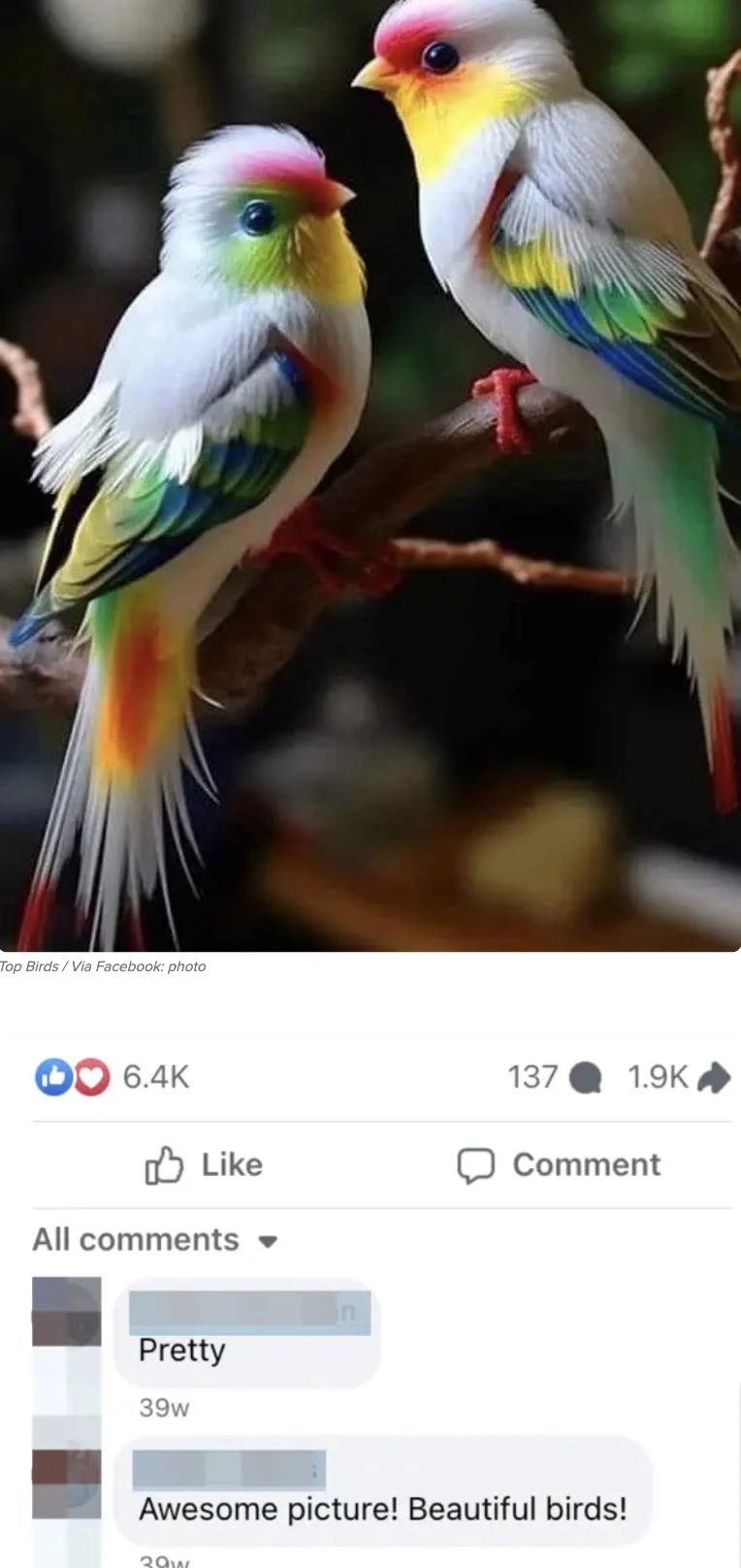 45 Boomer Musings from the A.I. Slop Shop