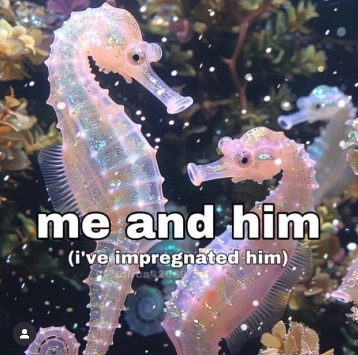 Raw and Unfiltered: 22 Memes to Make Lonely Hearts Feel Seen