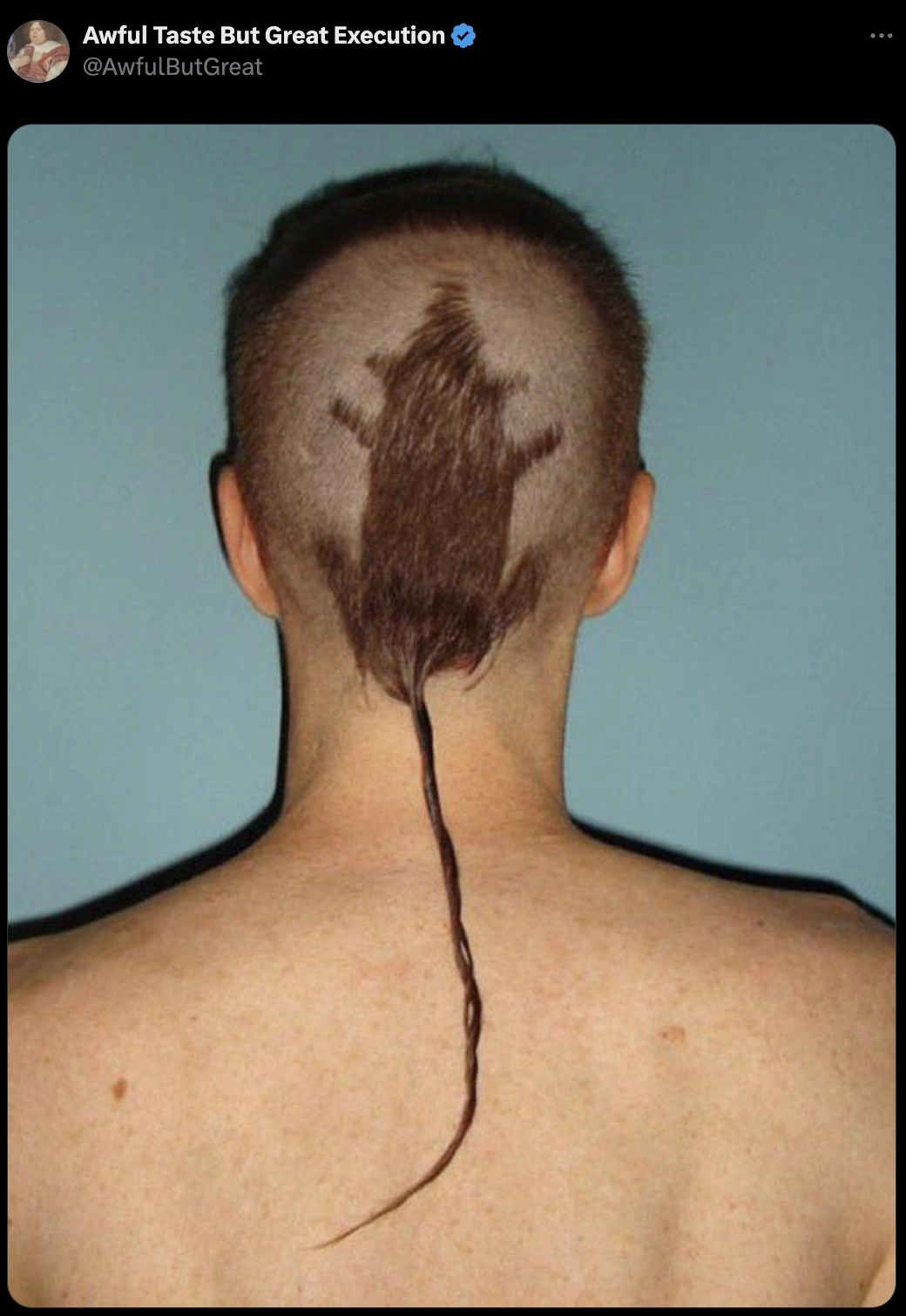 50 Unbelievably Cool Things That Shouldn't Be So Terrible