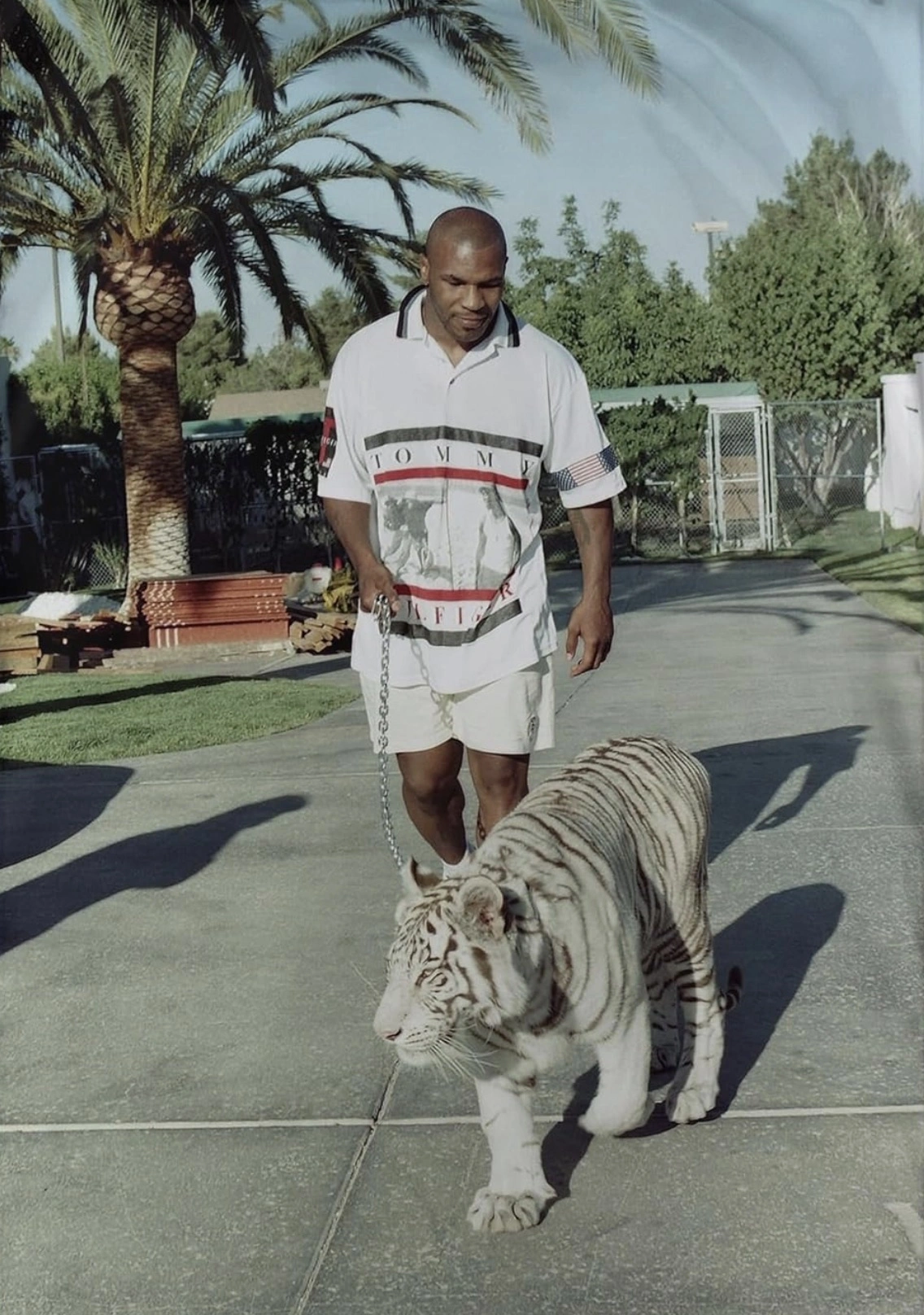 20 Celebrities and Their Unusual Animal Companions