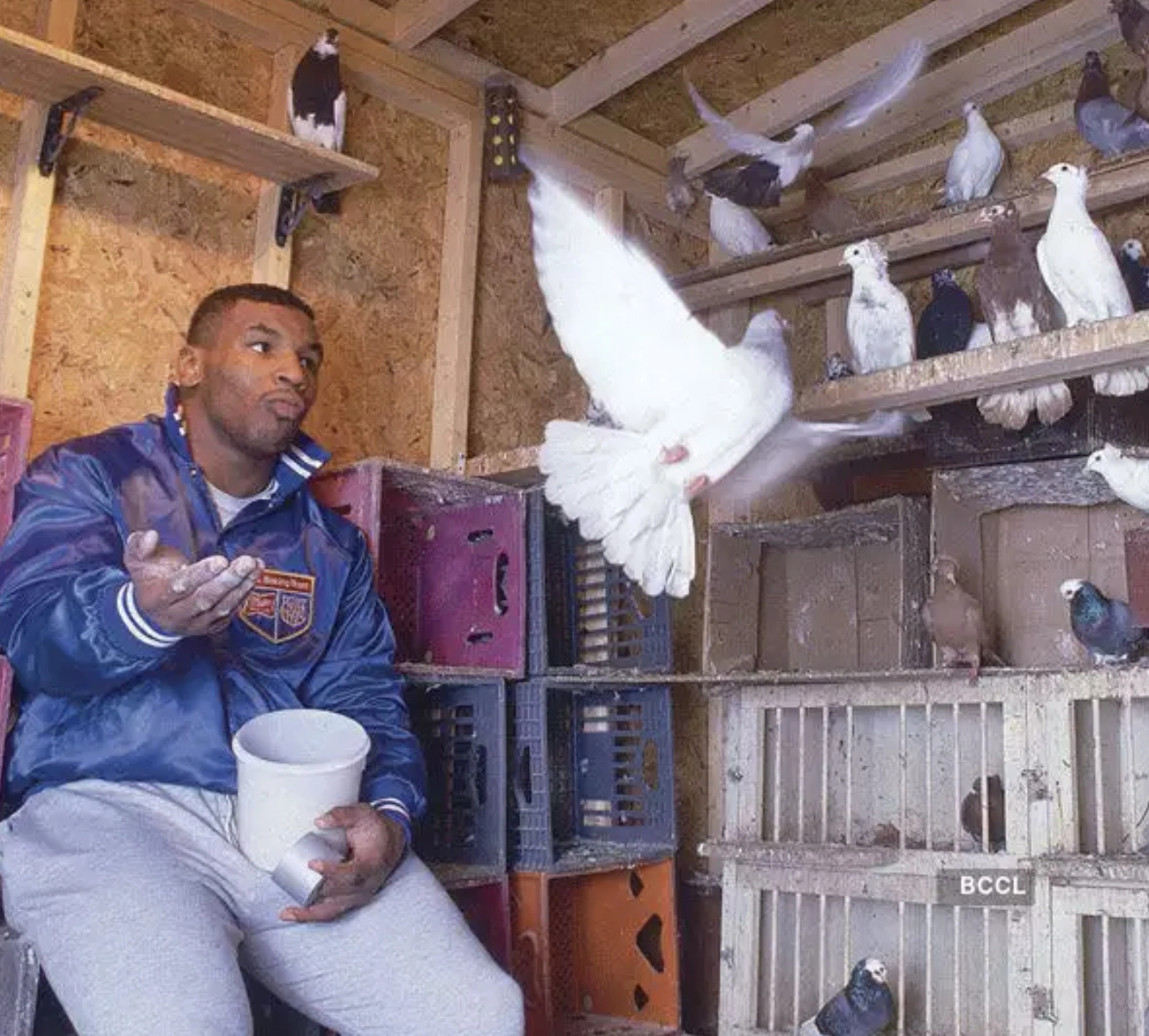 20 Celebrities and Their Unusual Animal Companions