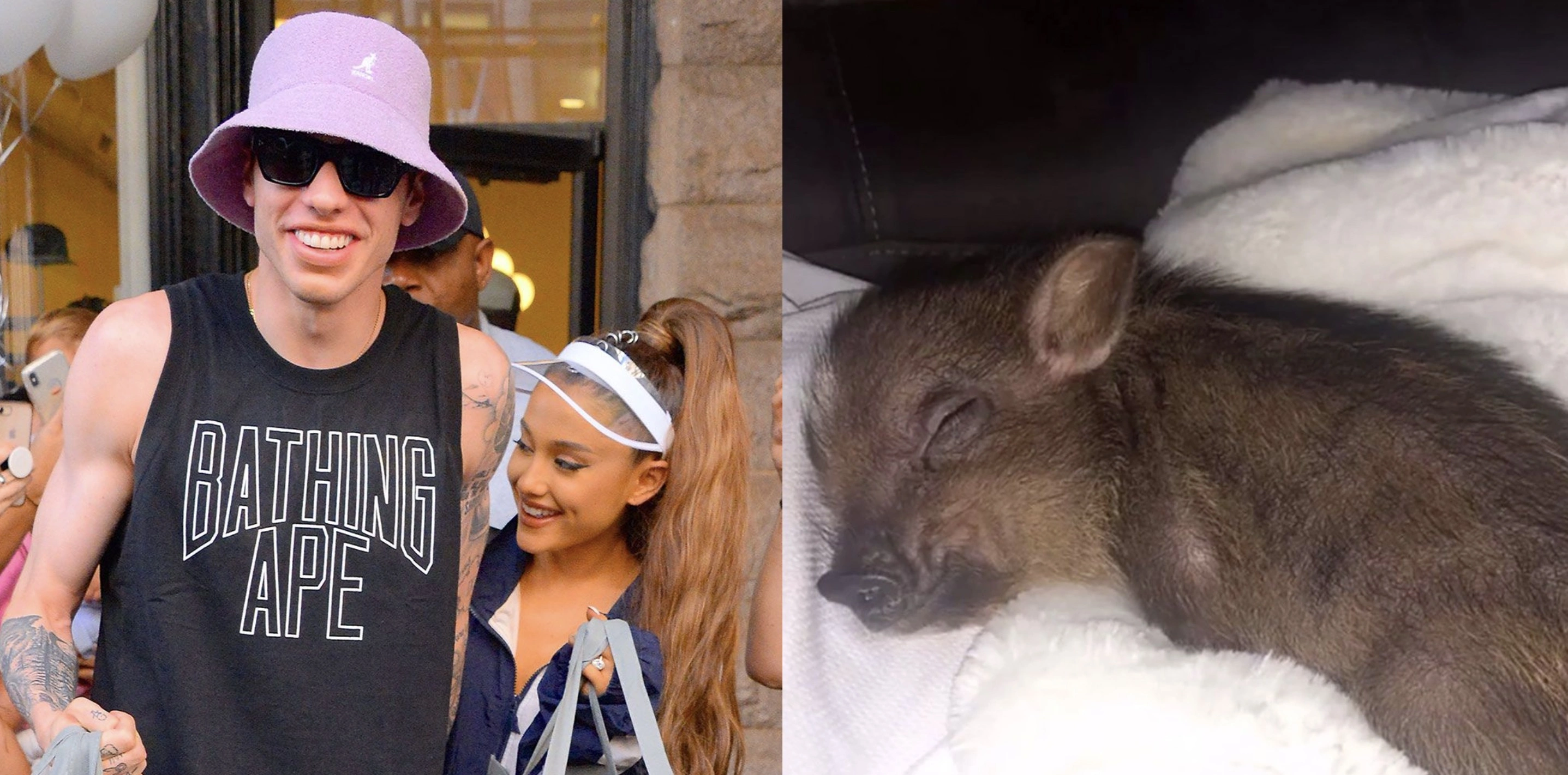 20 Celebrities and Their Unusual Animal Companions