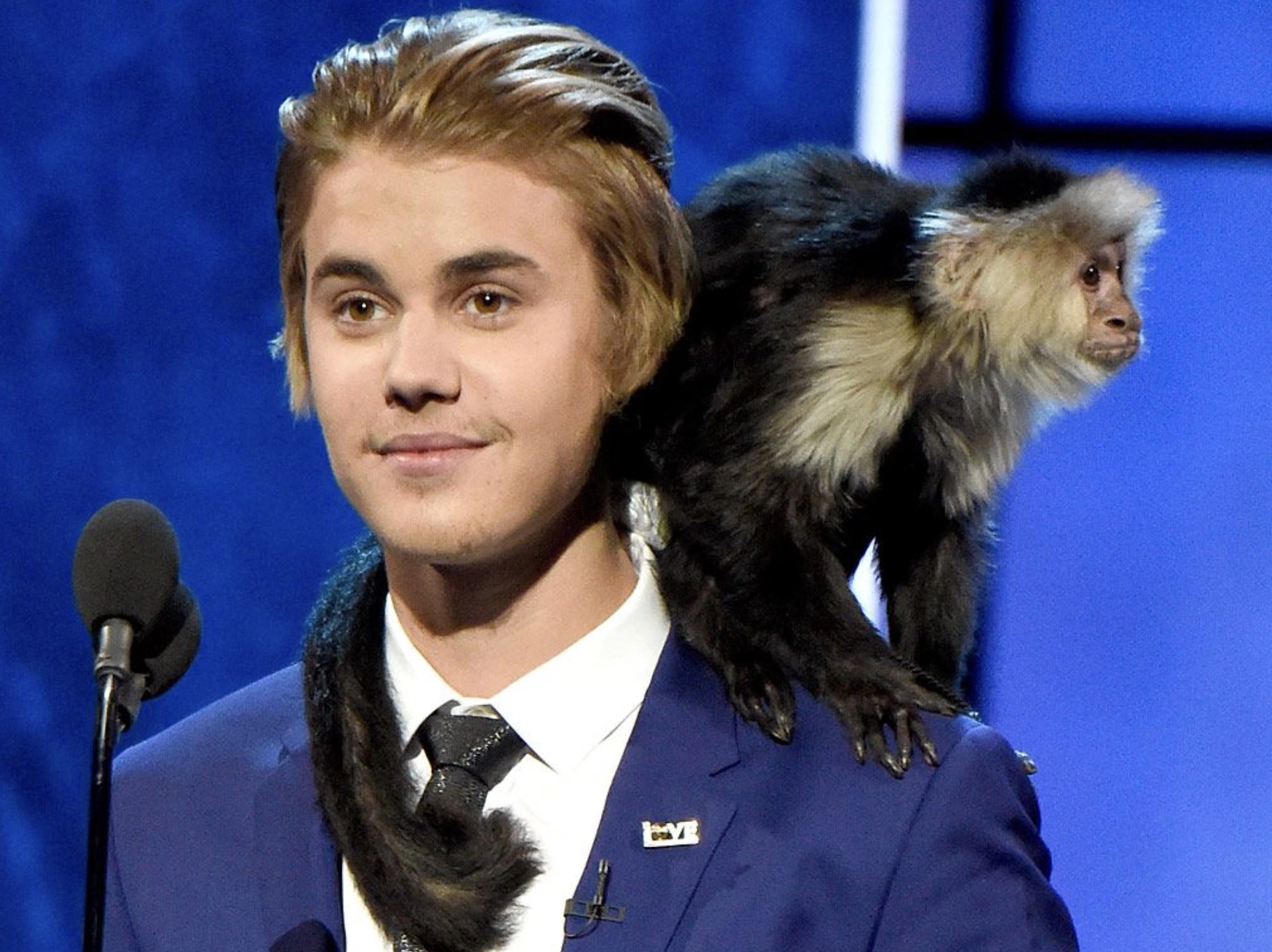 20 Celebrities and Their Unusual Animal Companions