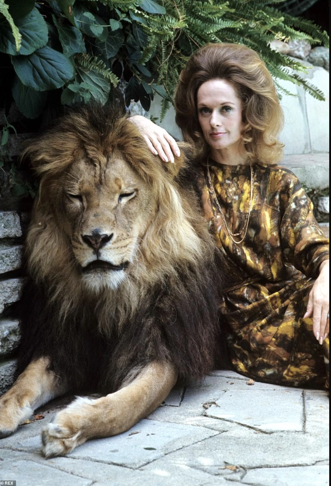 20 Celebrities and Their Unusual Animal Companions