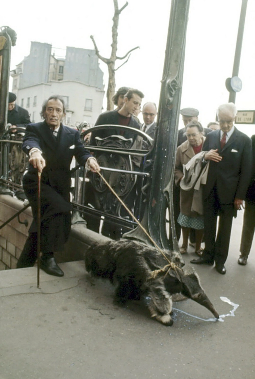 20 Celebrities and Their Unusual Animal Companions