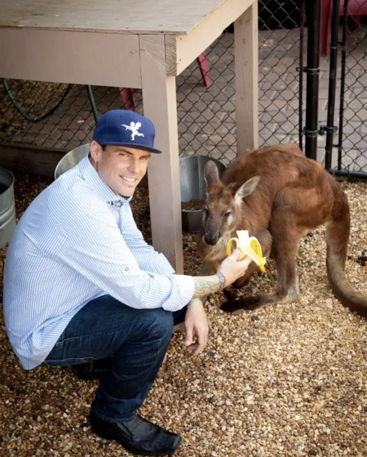 20 Celebrities and Their Unusual Animal Companions