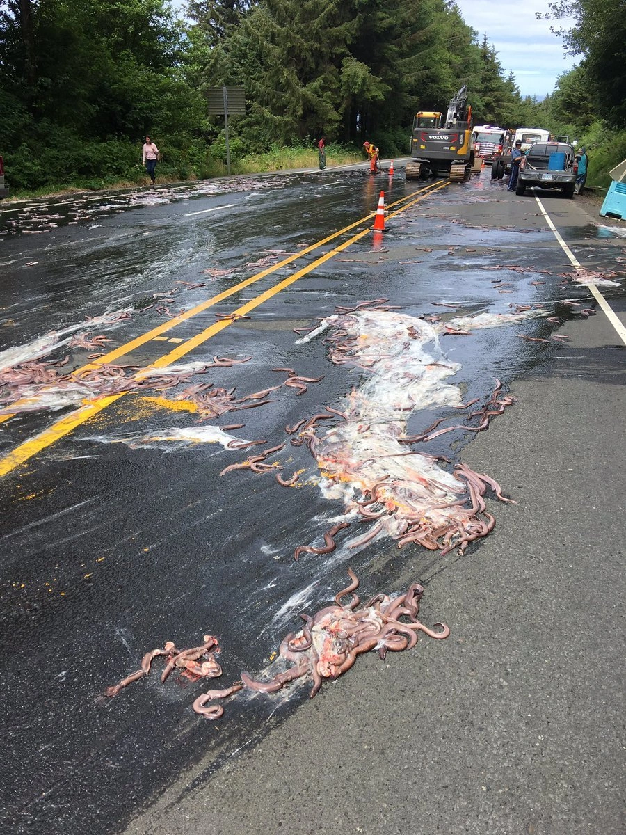 The Repulsive Power of Hagfish Sliming: A Sticky Situation Unfolds