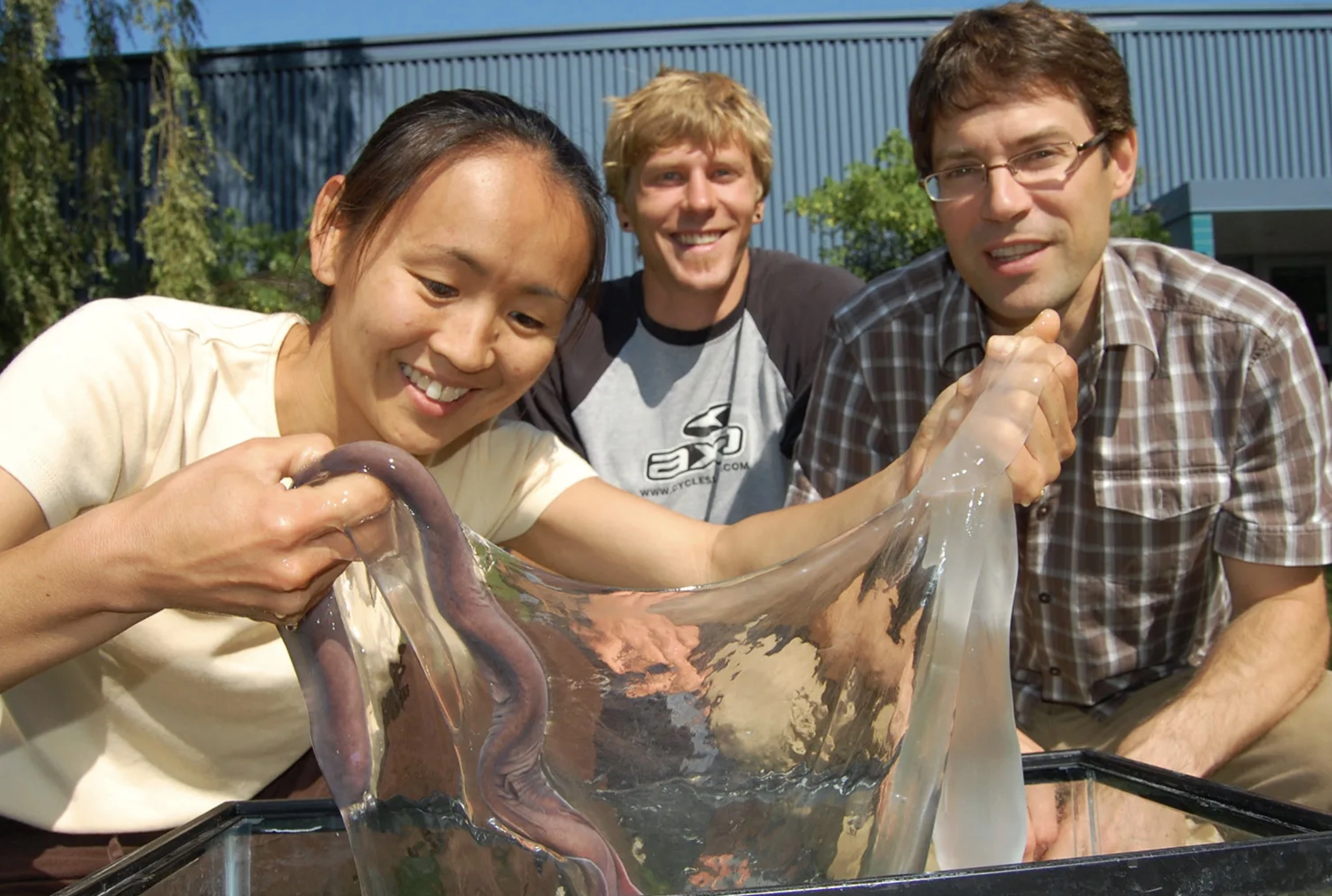 The Repulsive Power of Hagfish Sliming: A Sticky Situation Unfolds