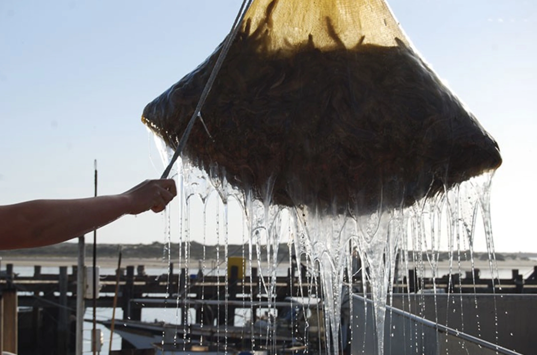 The Repulsive Power of Hagfish Sliming: A Sticky Situation Unfolds