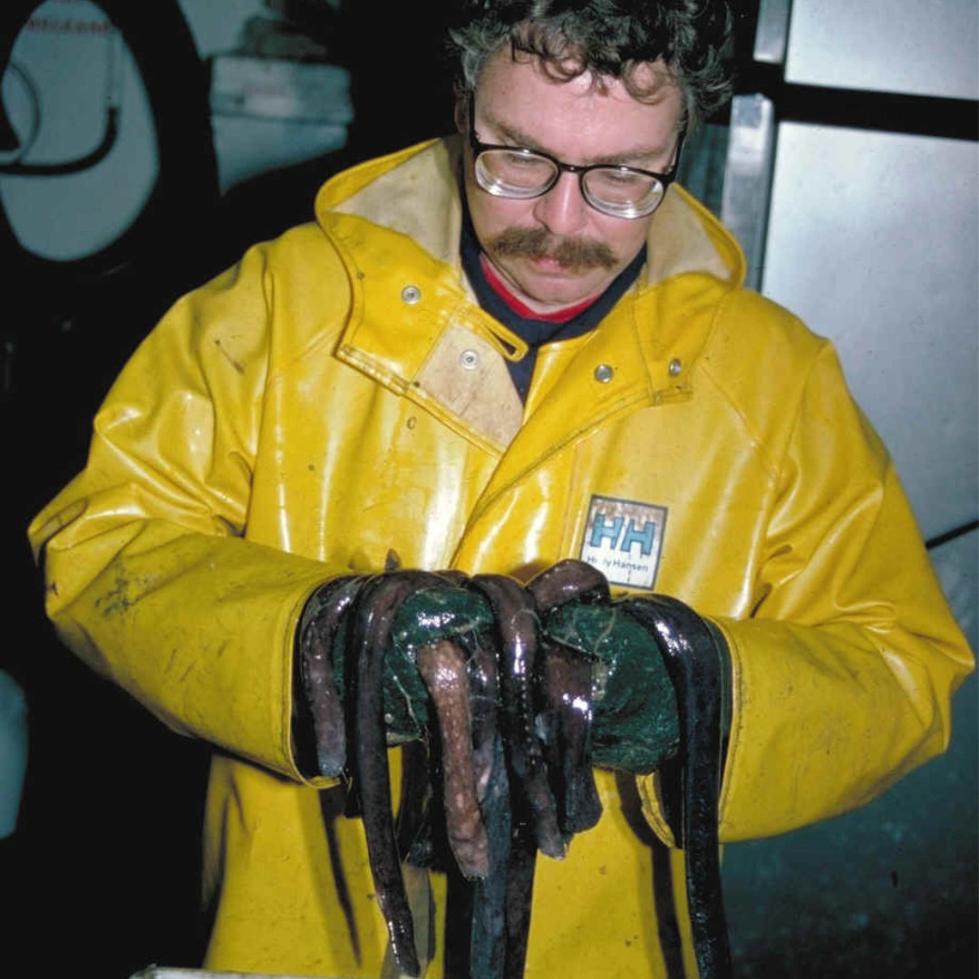 The Repulsive Power of Hagfish Sliming: A Sticky Situation Unfolds