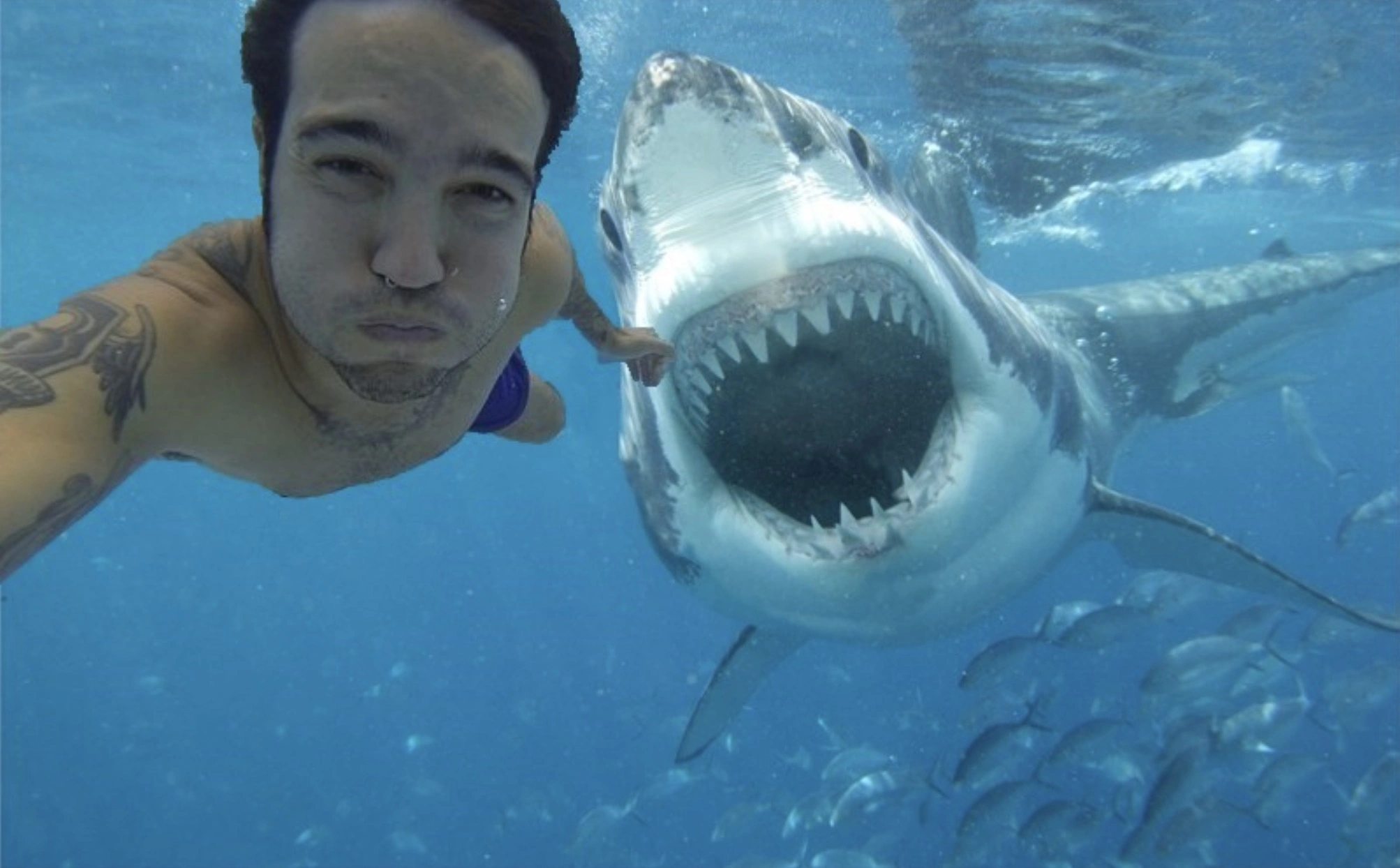 30 Individuals Who Risked Their Lives for a Selfie