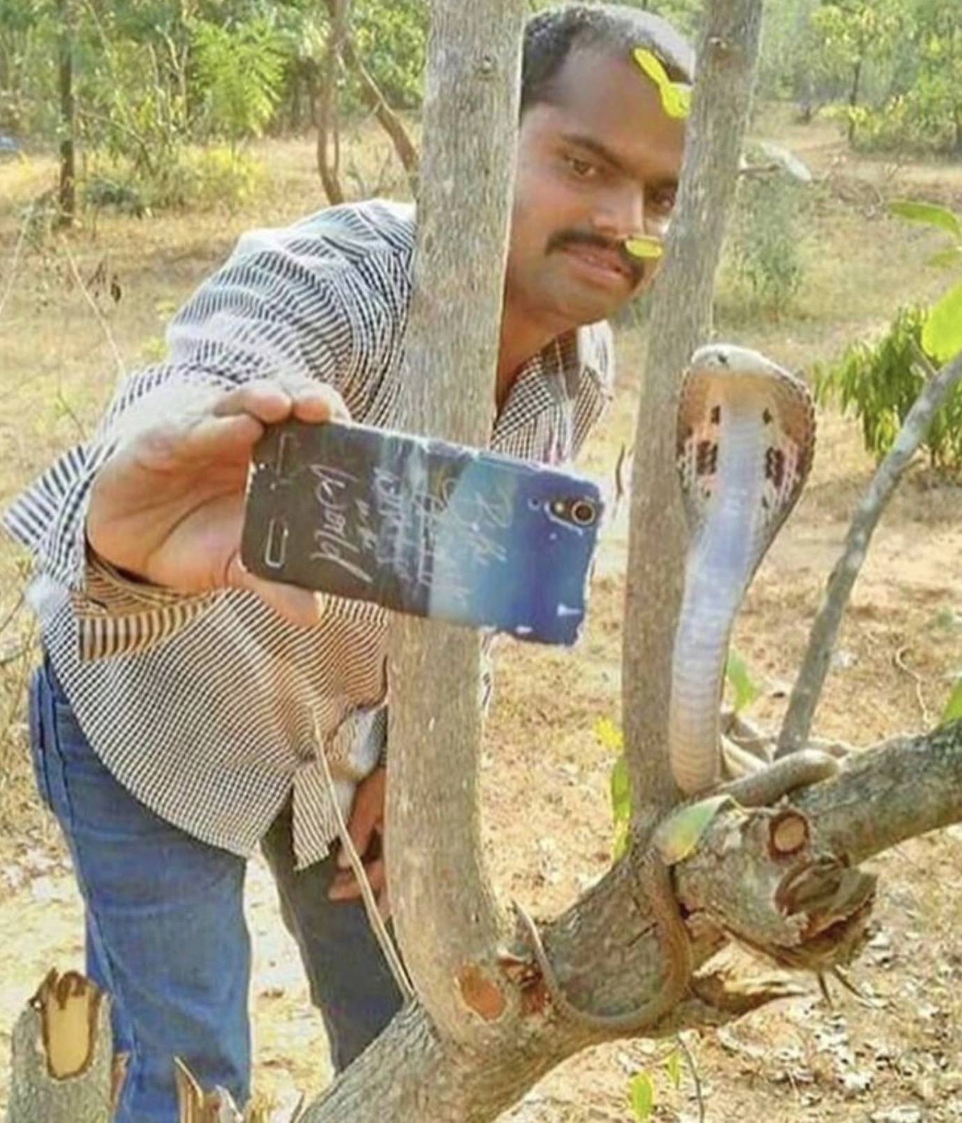 30 Individuals Who Risked Their Lives for a Selfie