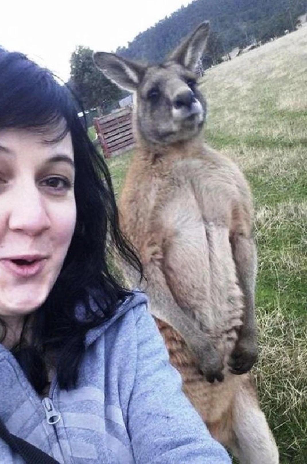 30 Individuals Who Risked Their Lives for a Selfie