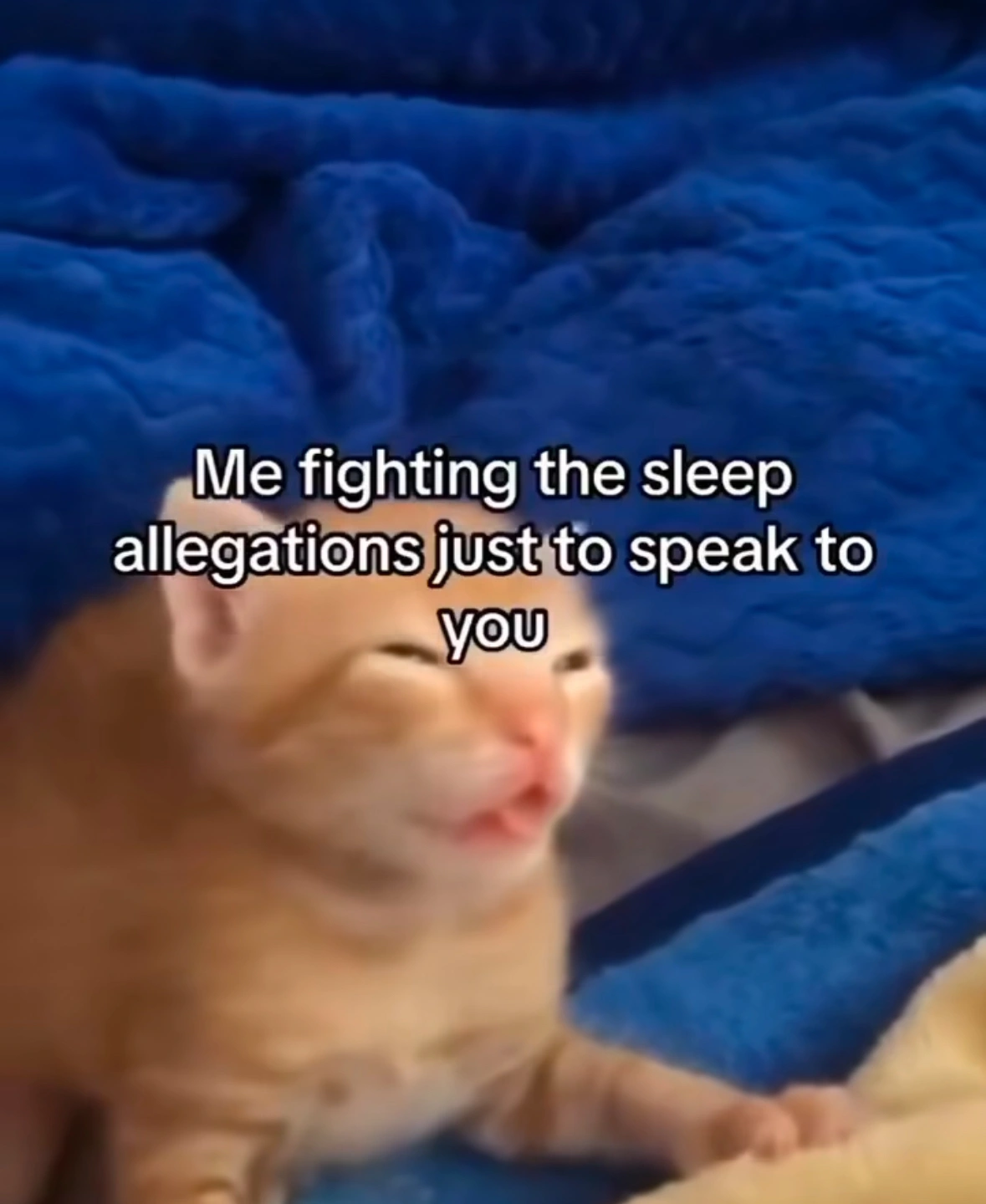 20 Dating Memes That Will Make You Laugh and Cry at the Same Time
